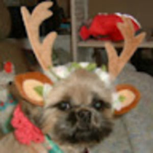 Meet your Posher, Janet